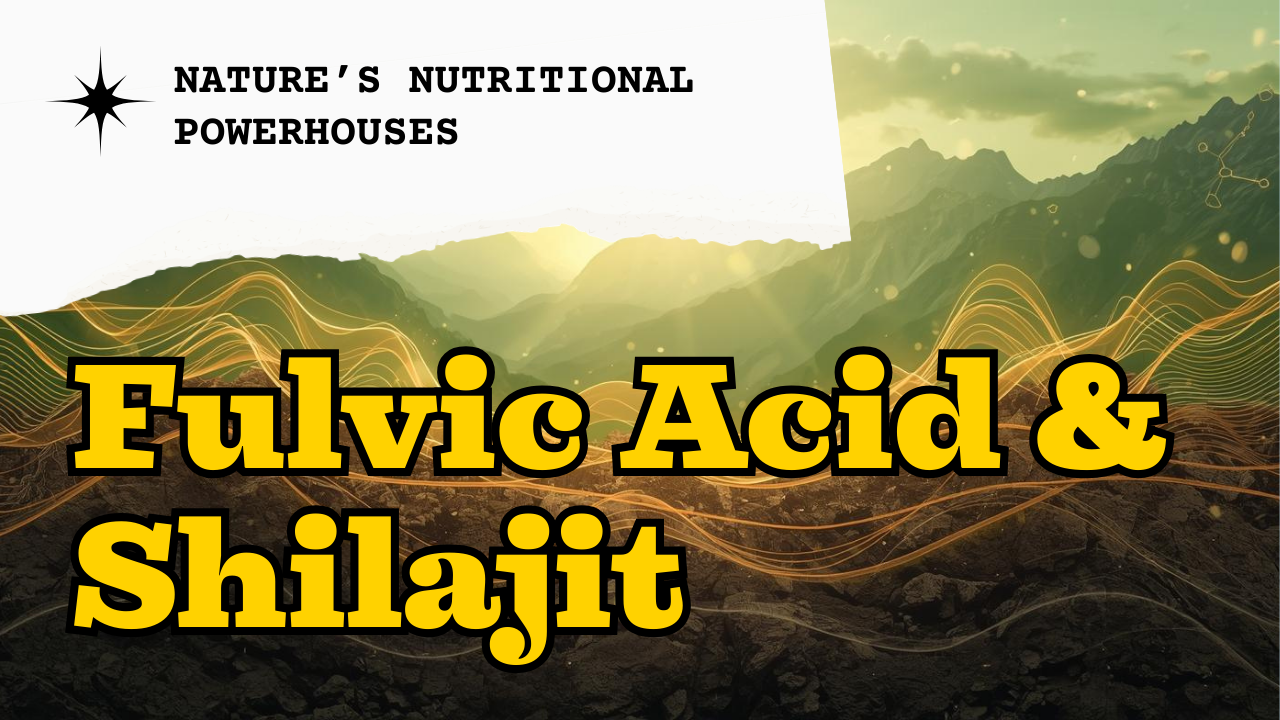 Fulvic Acid & Shilajit: Nature’s Twin Engines of Nutrition