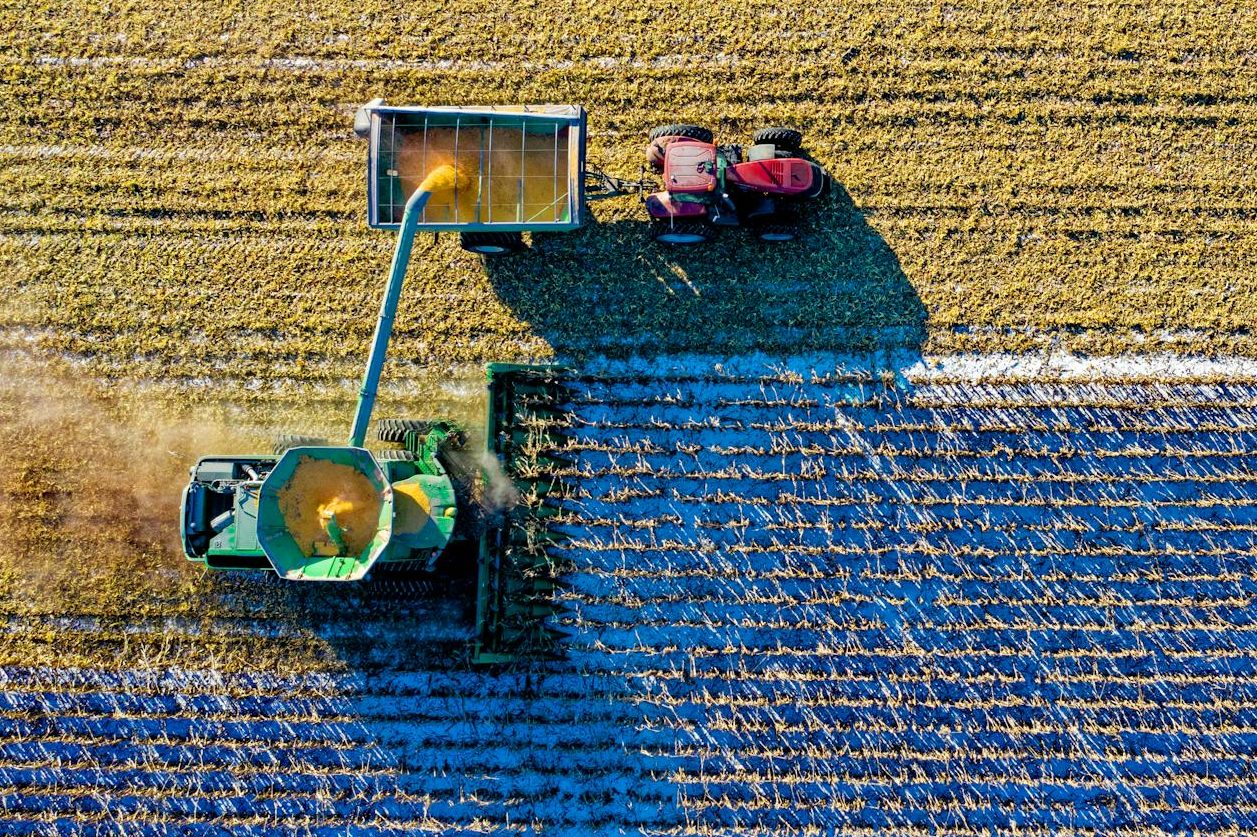 top view of green field